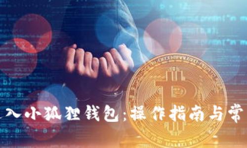 如何顺利进入小狐狸钱包：操作指南与常见问题解答