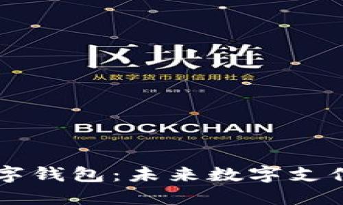 苹果加密数字钱包：未来数字支付的安全护卫