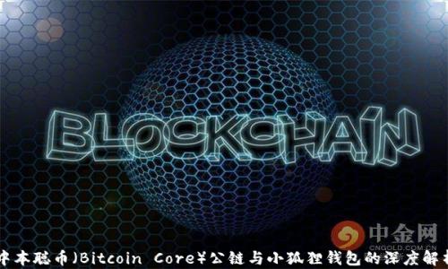 
中本聪币（Bitcoin Core）公链与小狐狸钱包的深度解析